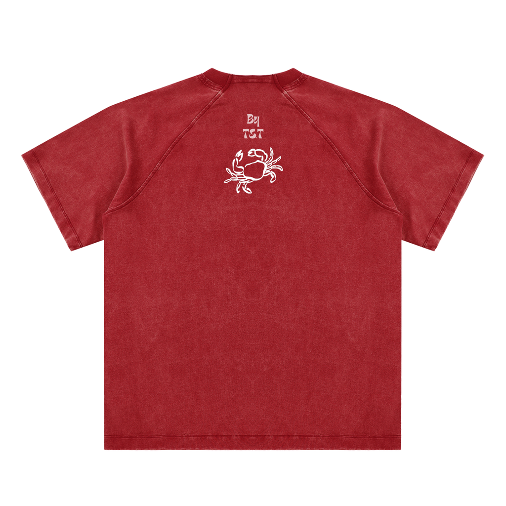 Vintage Wash Raglan T-Shirt - TÄL Beach